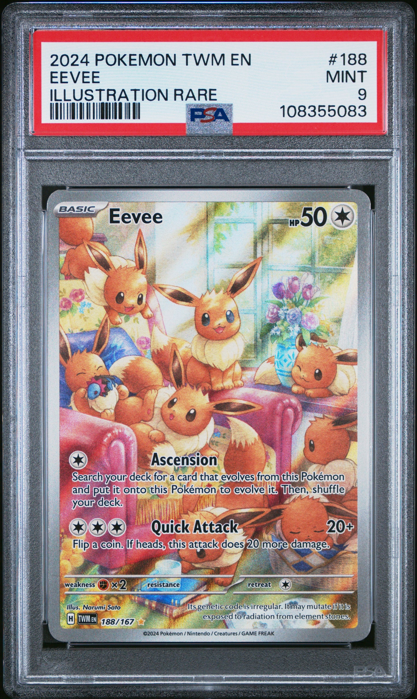 2024 EEVEE Illustration rare