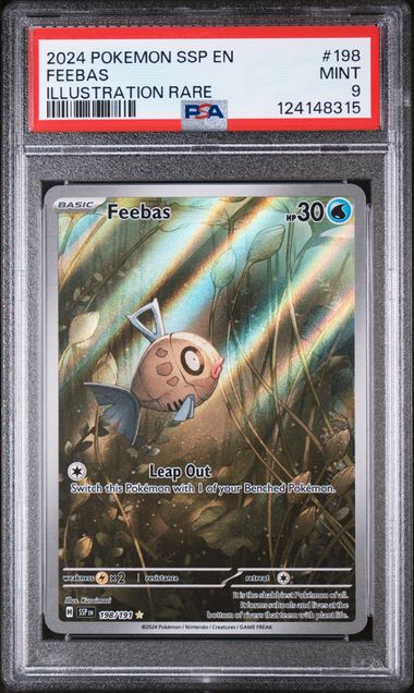 2024 FEEBAS Illustration rare