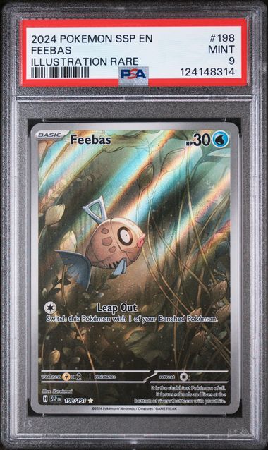 2024 FEEBAS Illustration rare